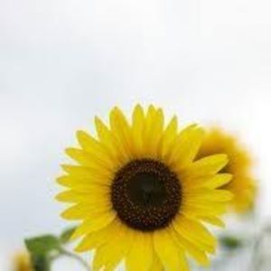 Meet your Posher, Adriana